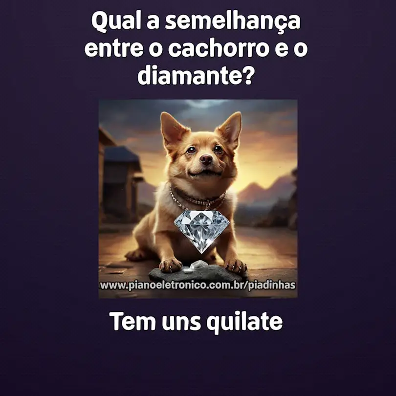 Qual a semelhança entre o cachorro e o diamante?

Tem uns quilate