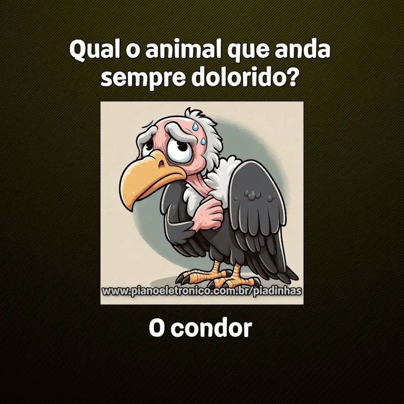 Qual o animal que anda sempre dolorido?

O condor
